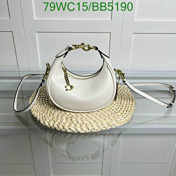 Coach Bags Code BB5191 Size 15x7x6CM