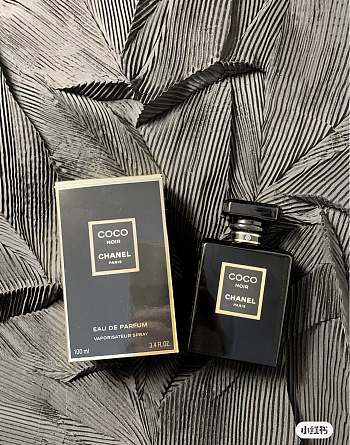 Chanel Women's Perfume 100ml DM110850