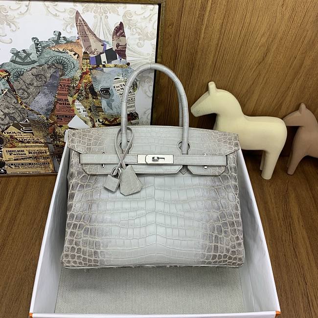 Hermès Himalayan Crocodile Bag HM2412 Size 30cm - 1