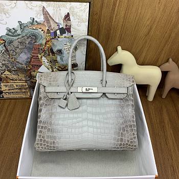 Hermès Himalayan Crocodile Bag HM2412 Size 30cm