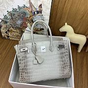 Hermès Himalayan Crocodile Bag HM2412 Size 30cm - 6