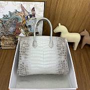 Hermès Himalayan Crocodile Bag HM2412 Size 30cm - 4