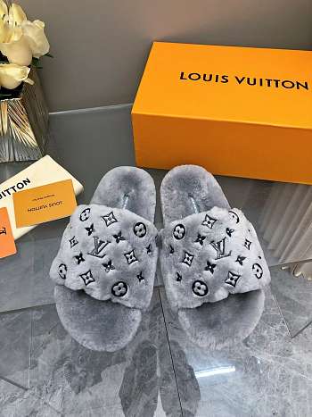 Louis Vuitton Slides LV3004