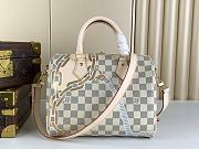 LV Speedy25 Bag M45699 Size 25x19x15cm - 6