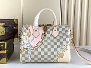 LV Speedy25 Bag M45699 Size 25x19x15cm - 3