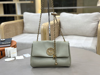 Spring 2026 Chloe Heritage Gold Coin Chain Bag Green 21*13*5cm