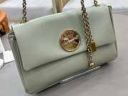 Spring 2026 Chloe Heritage Gold Coin Chain Bag Green 21*13*5cm - 5