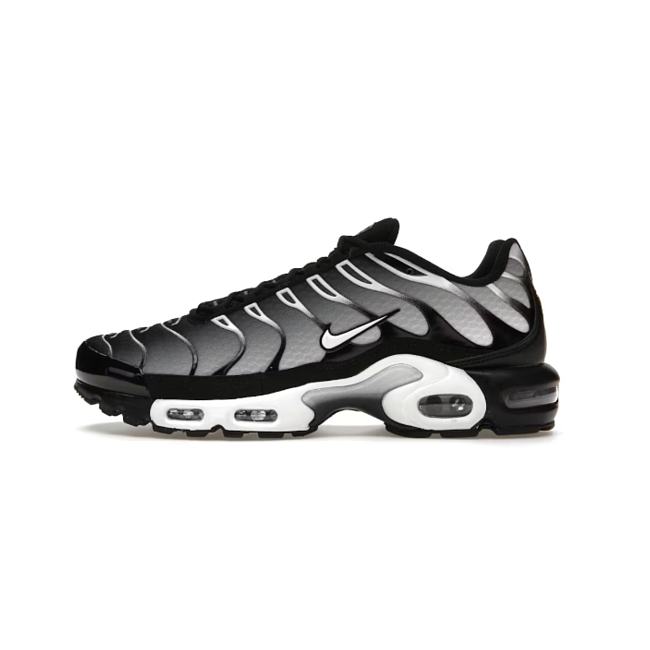 Nike Air Max Plus Black Silver White DM0032-003 - 1