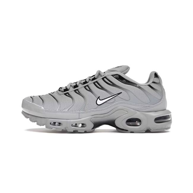 Nike Air Max Plus Wolf Grey 852630-021 - 1