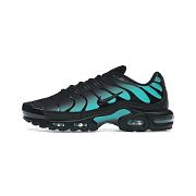 Nike Air Max Plus Black Dusty Cactus DM0032-016 - 1