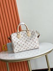 Louis Vuitton Speedy Bandoulière 25 Soft LV Crafty 26x9x15CM - 6